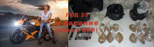 mdma Бородино