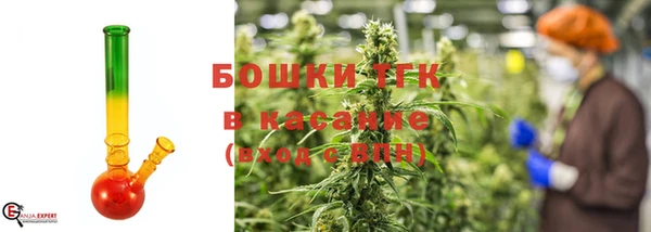 ГАЛЛЮЦИНОГЕННЫЕ ГРИБЫ Богданович