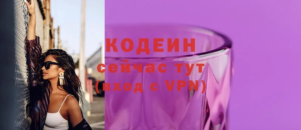 ГАЛЛЮЦИНОГЕННЫЕ ГРИБЫ Богданович