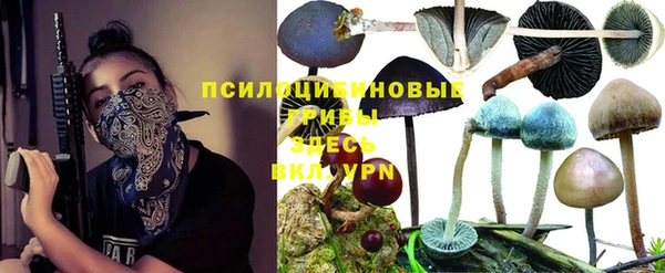 скорость Богородск