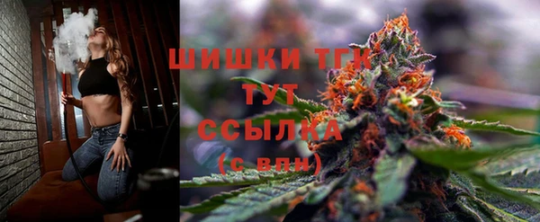 ГАЛЛЮЦИНОГЕННЫЕ ГРИБЫ Богданович