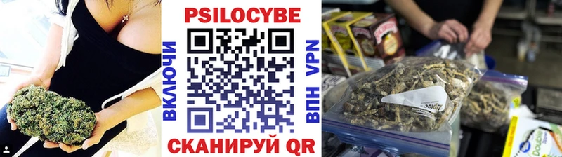 ссылка на мегу как войти Вязьма Псилоцибиновые грибы Cubensis