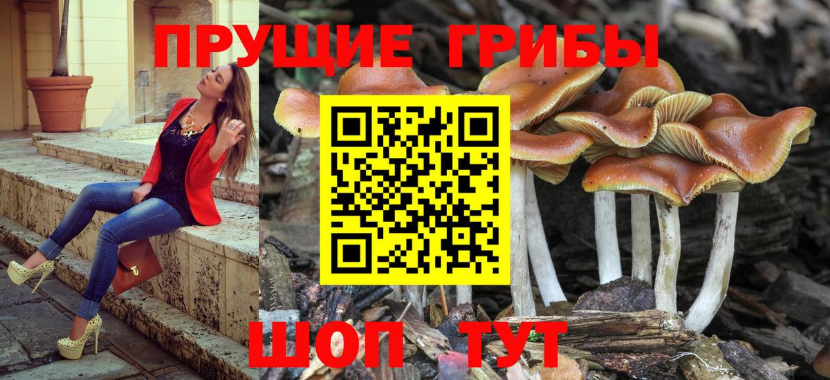 Галлюциногенные грибы мухоморы  Вход с VPN  Вязьма 