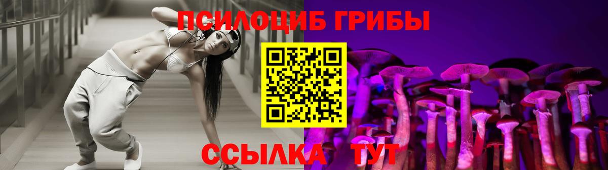 Псилоцибиновые грибы прущие грибы Вязьма