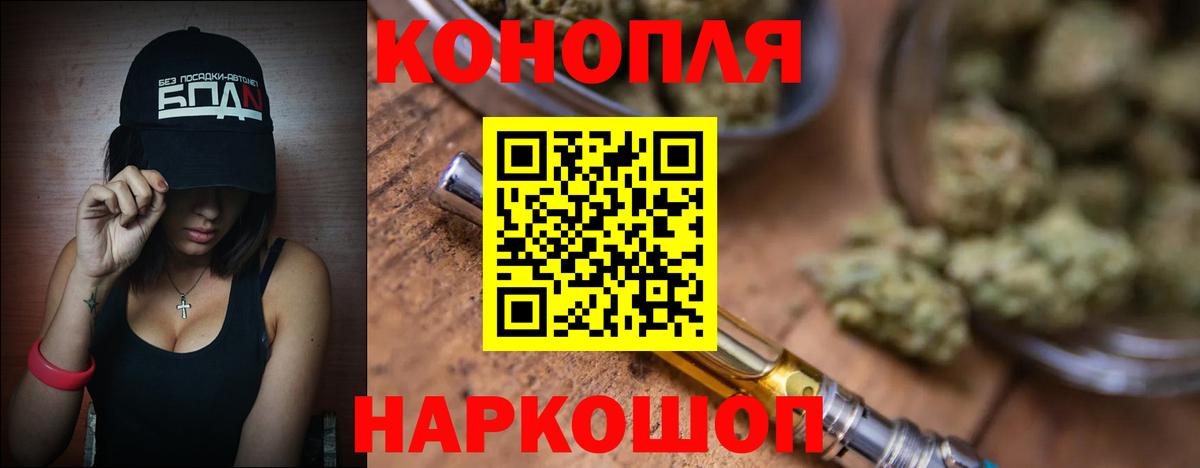 Канабис план  Канабис сатива  Вязьма  Вход с VPN 